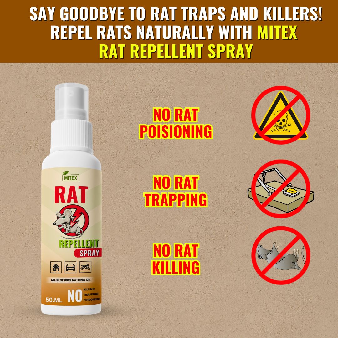 Rat Repellent Spray – Safe, Effective, and Eco-friendly.